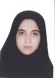 مریم حسین شیردل