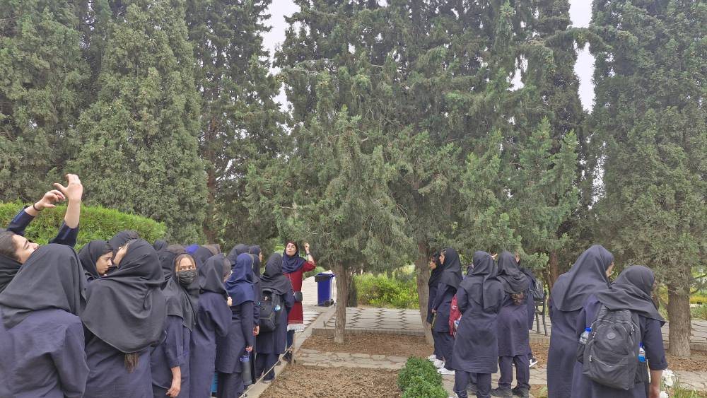 ۲۰۲۵۰۴۳۰_۱۳۱۳۳۶