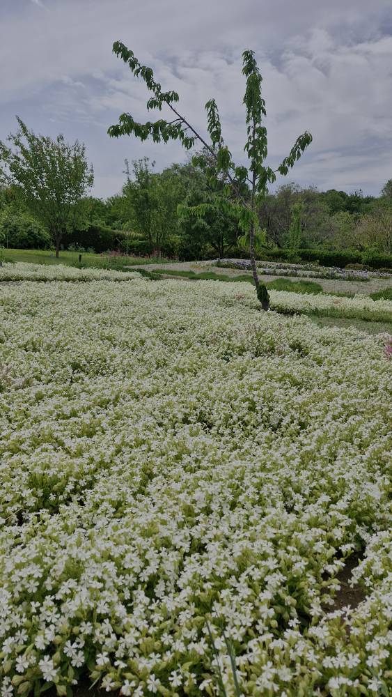 ۲۰۲۵۰۴۳۰_۱۳۲۱۴۹