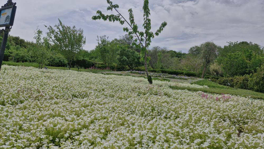 ۲۰۲۵۰۴۳۰_۱۳۲۱۵۵