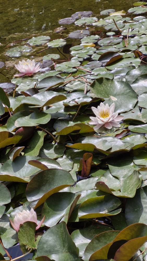 ۲۰۲۵۰۴۳۰_۱۳۴۲۵۱