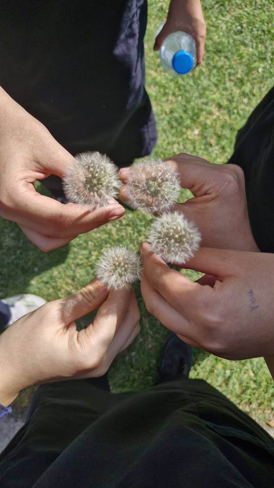 اردوی علمی باغ گیاهشناسی