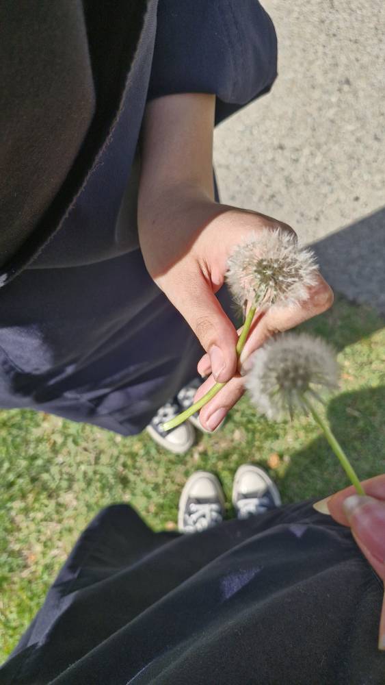 ۲۰۲۵۰۴۳۰_۱۴۵۰۰۱